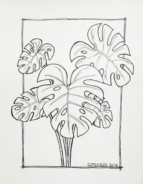 Drawing Monstera Plant, Monstera Plant Art Drawing, Botanical Plants Drawing, Monteras Plant Drawing, Monstera Plant Line Art, Plant Decor Drawing, Monstera Illustration Drawings, Monstera Plant Tattoo Ideas, Plants Design Drawing