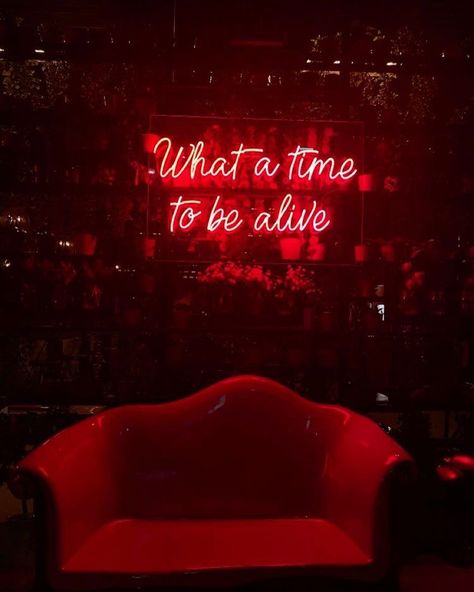 Neon Light Quotes, Gothic Things, Red Interior Design, Pub Logo, Bedroom Workspace, Karaoke Bar, Female Filmmaker, Red Quotes, Neon Signs Quotes