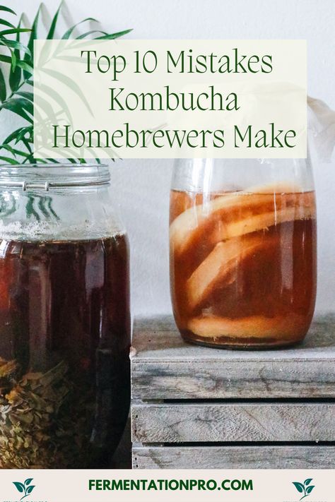 Brewing Kombucha, Kombucha For Beginners, Coconut Kombucha, Kombucha 2nd Fermentation, Kombucha Brewing, Diy Kombucha How To Make, How To Make Kombucha Scoby, Kombucha Flavours, Flavoring Kombucha