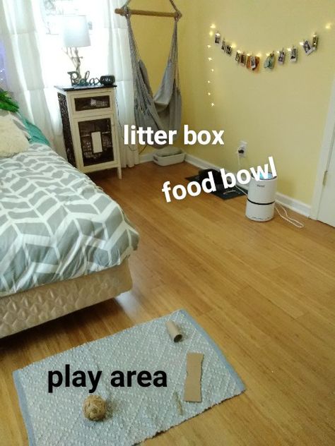 Free Roam Bunny Set Up Bedroom, Bunny Organization, Bunny Free Roam, Free Roam Bunny Set Up, Free Roam Bunny, Bunny Setup, Aesthetic Bunny, Pet Craft, Mother Son Relationship