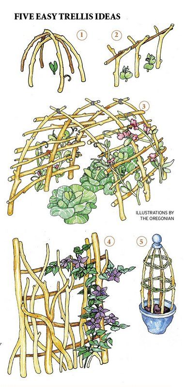 easy garden structures Natural Trellis, Garden Displays, Gardening Crafts, Backyard Farm, Trellis Ideas, Vertical Gardening, Herb Pots, Garden Trellis, Garden Structures