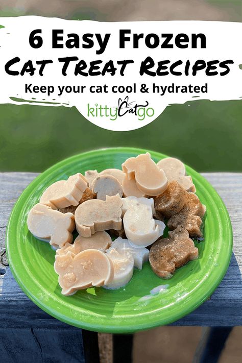 Frozen Cat Treats, Diy Cat Treats Recipes, Homemade Cat Treats Recipes, Diy Cat Treats, Diy Cat Food, Healthy Cat Food, Homemade Pet Treats, Cat Cool, Kitten Treats