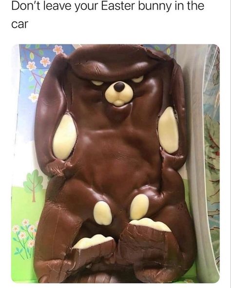 Funny Food Jokes, Food Jokes, Chocolate Easter Bunny, Food Memes, Weird Food, Morning Humor, Funny Animal Memes, Food Humor, Animal Memes