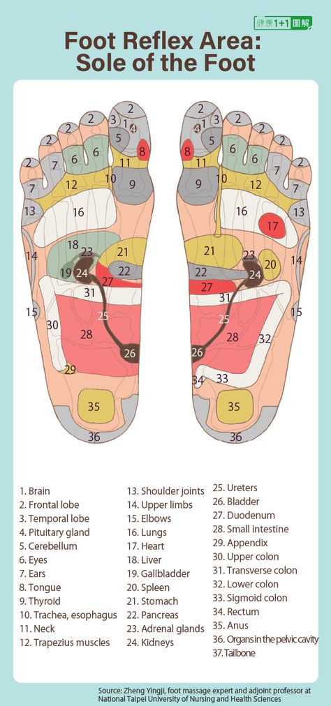 Miraculous Reflexology: How to Give Yourself a Foot Massage That Heals the Body Foot Massage Techniques, Polarity Therapy, Tree Dies, Body Massage Spa, Foot Reflexology Massage, Lumbar Pain, Body Massage Techniques, Spine Pain, Massage Therapy Techniques