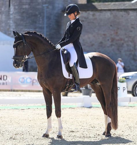 Rich Equestrian Aesthetic, Rich Equestrian, Dressage Competition, Horse Riding Aesthetic, Horse Competition, Equestrian Dressage, Show Jumping Horses, Equestrian Aesthetic, Horse Dressage