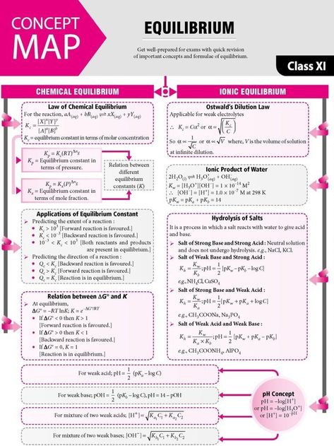 Equilibrium Notes, Brain Map, Biochemistry Notes, Organic Chemistry Study, Concept Maps, Chemistry Study Guide, 11th Chemistry, Chemistry Basics, Jee Mains