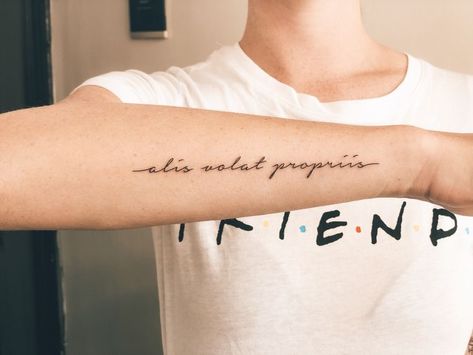 Forearm Script Tattoo, Wing Tattoo Arm, Wrist Tattoos Quotes, Latin Quote Tattoos, Arm Quote Tattoos, Latin Tattoo, Wrist Tattoo Cover Up, French Tattoo, Phrase Tattoos