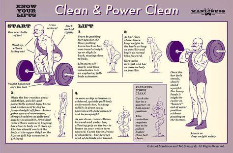 Know Your Lifts: The Clean and Power Clean An Illustrated Guide from The Art of Manliness Local Gym, Art Of Manliness, Power Clean, Powerlifting, Weight Training, Personal Training, Build Muscle, Weight Lifting, Crossfit