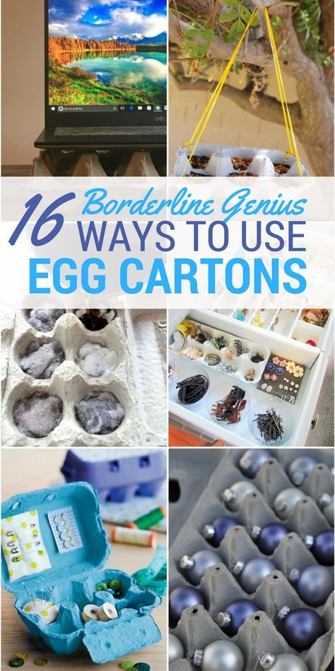 Egg Carton Uses Ideas, Repurposed Egg Cartons, Egg Carton Upcycle, Recycling Egg Cartons, Egg Carton Recycle Ideas, Upcycle Egg Cartons, Egg Carton Storage Ideas, What To Do With Egg Cartons, Egg Carton Uses