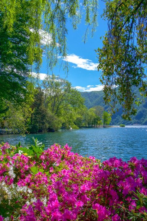 Wallpaper Photo Hd, Spring Scenery, Spring Landscape, Beauty Nature, Pretty Landscapes, Beautiful Images Nature, Spring Nature, Beautiful Nature Wallpaper, Beautiful Scenery Nature