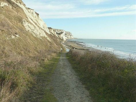 The Warren Beach (Folkestone) - Kent Strand Beach Cape Town, Sand Rock, Oast Houses Kent, Folkestone Kent, Uk Beach, Merlins Cave Cornwall, Walk Idea, Bantham Beach Devon, Types Of Butterflies