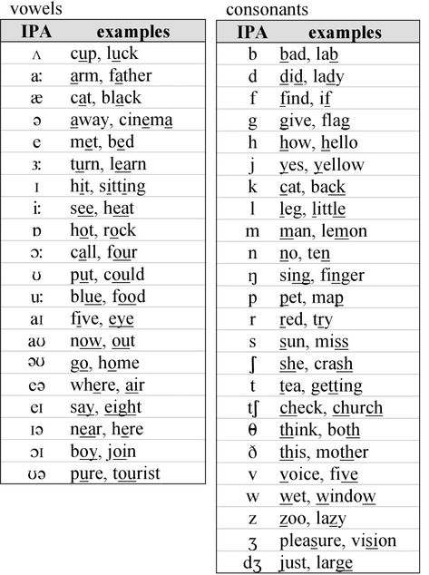 Phonemes. Ipa Alphabet, Elven Language, English Phonetic Alphabet, Ipa Chart, Phonetic Chart, Phonetics English, Vowel Chart, Phonetic Sounds, Alphabet Sounds