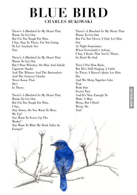 Charles Bukowski Blue Bird Bluebird Charles Bukowski Poem, Bluebird Poem Bukowski, Bluebird By Charles Bukowski, Blue Feelings Aesthetic, Blue Bird Quotes, Bukowski Quotes Poetry, Blue Bird Charles Bukowski, Bluebird Bukowski, Charles Bukowski Tattoos