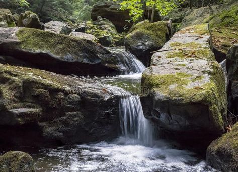 Seven Tubs Waterfall Rocky Forest Stream. Small waterfall in the mossy, rocky st , #sponsored, #Small, #Stream, #mossy, #waterfall, #Waterfall #ad Backyard Stream, Environment Sketch, Forest Stream, Waterfall Photo, Most Romantic Places, Small Waterfall, Japanese Landscape, Romantic Places, Beautiful Rocks