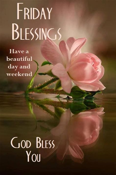 Friday Blessings Have A Beautiful Day And Weekend Encouraging Reading, Weekend Greetings, Bible Truths, Blessed Friday, Friday Weekend, Blessed Quotes, Morning Greetings Quotes, Its Friday Quotes, Romans 8