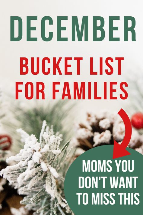 Family Christmas Bucket List, December Bucket List Kids, Christmas Bucket List For Kids, Winter Break Bucket List, December Bucket List, Christmas With Kids, Bucket List For Families, Winter Traditions, Bucket List For Teens