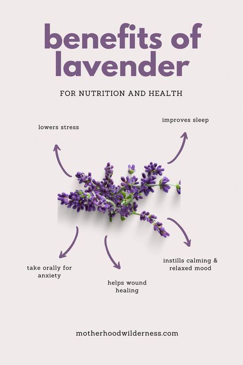 Read here to learn about medicinal and daily uses of the essential oil, lavender. Studies linked for evidenced-based information and support! Winter Selfcare, Lavender Oil Benefits, Benefits Of Lavender, Selfcare Routine, Lavender Benefits, Healing Essential Oils, Sleeping Too Much, Mental Health Disorders, Oil Benefits