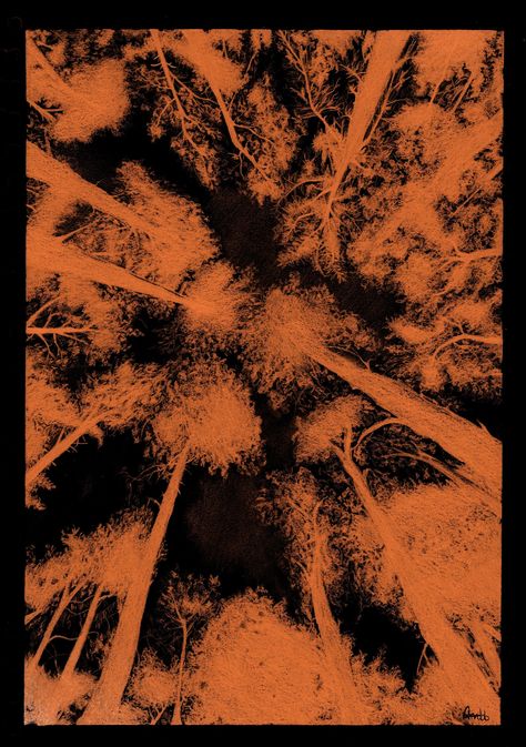 A4 print of a pencil drawing looking up through the trees in a forest. This version has been digitally edited to have orange trees and a black background. Printed on high quality 300gsm paper. Deep Orange Aesthetic, Orange And Black Aesthetic, Orange Horror Aesthetic, Orange And Black Wallpaper, Dark Orange Background, Burnt Forest, Black Orange Wallpaper Backgrounds, Dark Red Forest Aesthetic, Horror Forest Background