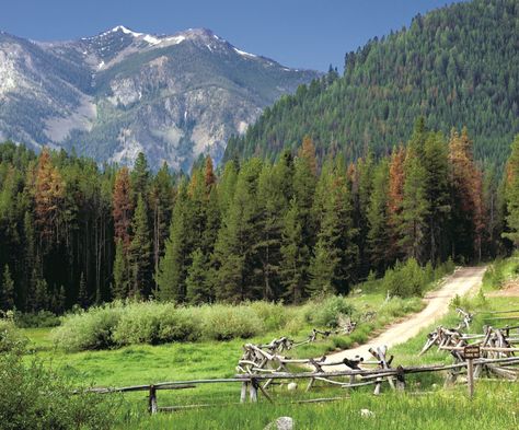 North American Forest, Montana Nature, 숲 사진, Forest Pictures, Usa Travel Destinations, Forest Landscape, Nature Pictures, Travel Usa, Mother Nature