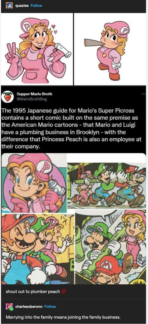 Mario Comics Funny, Looker Pokemon Fanart, Front Facing Yoshi, Super Mario Art Fanart, Super Mario Movie Fanart, Mario Movie Fanart, Peach X Bowser, Super Mario Fanart, Smash Bros Fanart