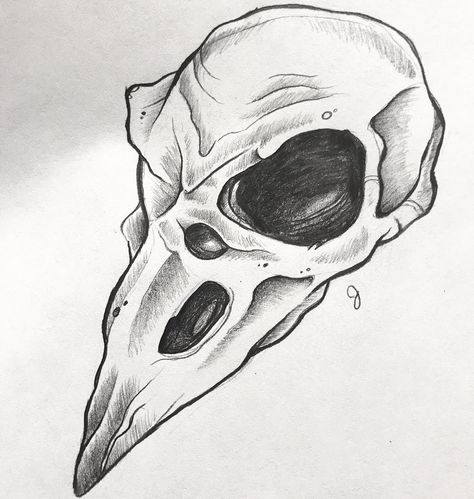 Bird Skull Drawing, For Hand Tattoo, Animal Skull Drawing, Tattoo Machine Art, Scary Drawings, Horror Drawing, Skeleton Drawings, Flash Tattoo Designs, Skulls Drawing