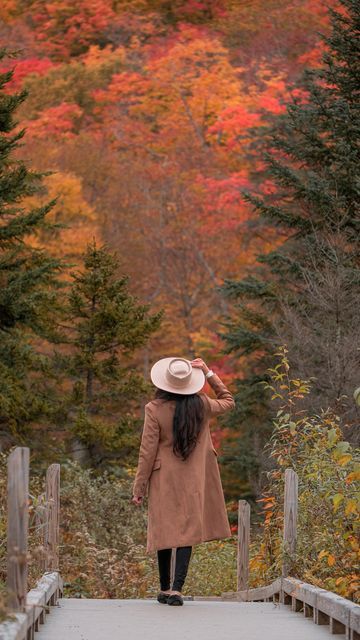 Mandy l New York on Instagram: "I filmed this reel back in August, hence the summer clothing, and never had the chance to edit it until now. I love these transition reels. They are actually my favorite videos to watch on IG and TikTok. Also speaking of summer, I’m getting ready to go on a work trip next week to somewhere tropical. Any guess where I’m going? . . . . . . . . . . . #transitionreels #transitionvideos #fashionvideo #fashionista #reelstransition #stylingvideo #fashiondaily #wardrob Transition Reels, Videos To Watch, Work Trip, Fashion Videos, Summer Clothing, Work Travel, Watch Video, Next Week, Getting Ready