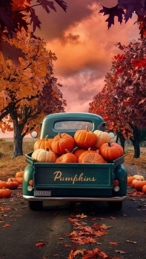 Summer To Fall Background, Fall Phone Widget Aesthetic, Halloween Wallpaper Backgrounds Vintage, Autumn Aesthetic Cozy Wallpaper, Fall Truck Wallpaper, Colorful Halloween Wallpaper, Vintage Fall Backgrounds Iphone, Live Screen Wallpaper Iphone, Pumpkin Screensaver