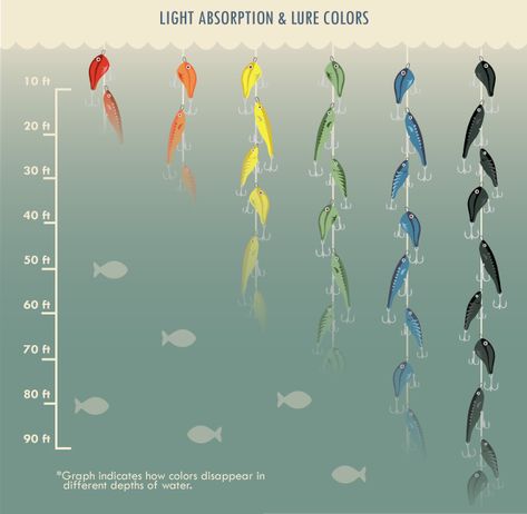 WHAT IS THE BEST LURE COLOUR? – Active Angling New Zealand Light Absorption, Saltwater Fishing Lures, Trout Fishing Tips, Fly Fishing Tips, Live Bait, Bass Fishing Lures, Bass Fishing Tips, Walleye Fishing, Fishing Rigs