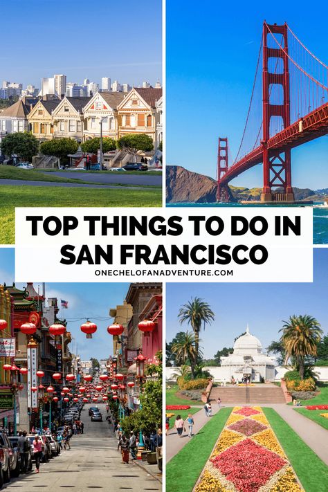 Los Angeles, San Francisco Activities, San Francisco Itinerary, San Francisco With Kids, San Francisco At Night, San Francisco Zoo, To Do In San Francisco, Visit San Francisco, Alcatraz Island