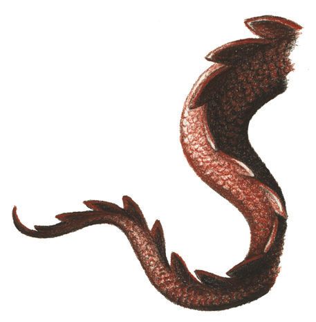 dragon tail Dragon Tail Drawing, Tail Drawing Reference, Tail Sketch, Tail Drawing, Medical Astrology, Dragon Tail, Dragon Claw, Clay Dragon, Japanese Dragon