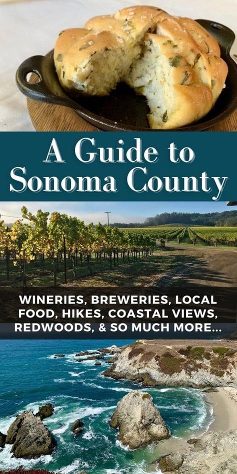 Sonoma Itinerary, Sonoma California Wineries, California Wine Country Vacation, Sonoma Valley Wineries, Weekend Trip Ideas, Girls Trip Ideas, California Itinerary, Sonoma County Wineries, Napa Trip