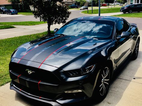 2017 Ford Mustang Matte Black red trim stripes on Charcoal Grey body Ford Mustang Matte Black, Black And Red Mustang, Purple Audi, Black Mustang Gt, Mustang Stripes, Mustang 2018, 2017 Mustang, Red Mustang, Car Stripes