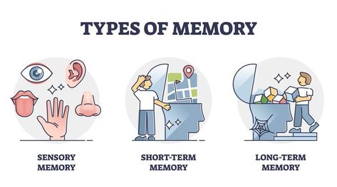 Memory Psychology, Psychology Revision, Memory Illustration, Multisensory Teaching, Structural Model, Memories Aesthetic, Types Of Memory, Human Memory, Powerpoint Tutorial