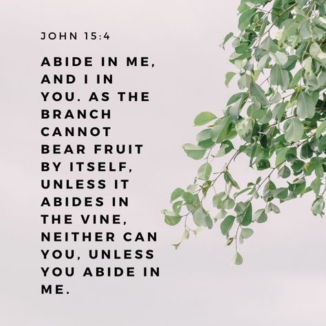 Abiding, remaining, staying, sitting, dwelling IN Christ is the call of our generation. To remain unwaveringly steadfast in our commitment to the King.   #abide #remain #dwell #home #Christ #JesusisKing #sermoncentral #pastor #sermon #churchmedia Abide In Me, John 15 4, Abide In Christ, Christian Graphics, Esv Bible, Stoic Quotes, Christ Quotes, Inspirational Verses, In Christ Alone