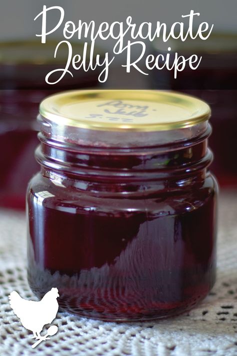 Pomegranate Jam, Cosmopolitan Cornbread, Pom Juice, Pomegranate Jelly, Diy Butter, Canning Jam, Canning Food Preservation, Homemade Jelly, Jelly Recipe