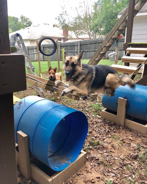 Outside Dog Area Yards, Puppy Playground Diy, Diy Dog Obstacle Course, Dog Shade Ideas Backyards, Dog Playground Backyard Diy, Outside Dog Area, Diy Dog Park, Dog Playhouse, Dog Backyard Playground