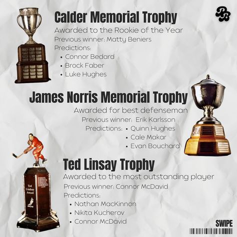 You’ve heard about these trophies throughout the season but do you really know what each award is for? 🏆 Swipe to learn! #Hockey #NHL Created by graphic designer: Carissa Ng Do You Really, Graphic Designer, You Really, Nhl, To Learn, Hockey, Created By, Graphic Design, Instagram