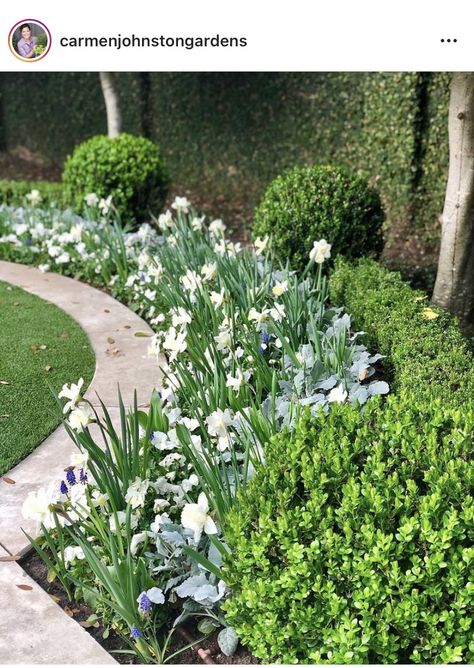 Hyacinths Garden, Plant Beds, Courtyard Plants, Landscape Curbing, Creative Garden Decor, Herb Garden Design, Garden Bulbs, Moon Garden, Garden Tours