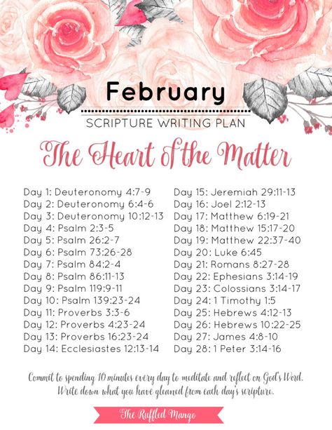 If you're looking for a simple way to get more of God's Word into your daily life, look no further than a monthly scripture writing schedule. February Scripture, Scripture Plans, Writing Schedule, Study System, Scripture Writing Plans, Scripture Writing, Writing Plan, Writing Guide, Bible Study Plans