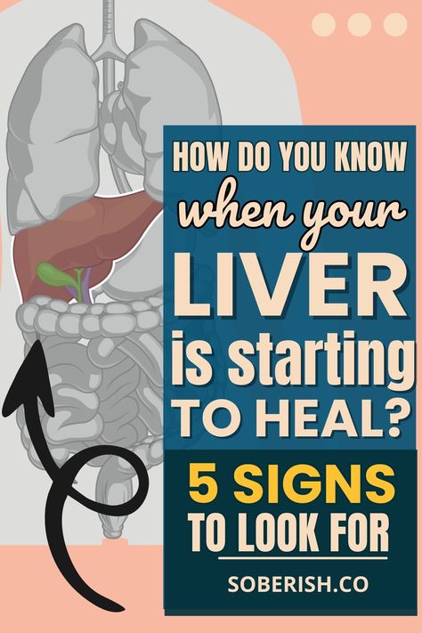 Once you cut back on drinking, watch for these signs of your liver detoxing and healing. They signal your body's positive response to giving up excess alcohol.