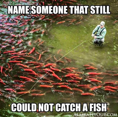 Name someone that still could not catch a fish Fishing Meme, Fish Meme, Funny Fishing Memes, Fishing Jokes, Man Fishing, Hunting Humor, Crappie Fishing, Fishing Quotes, Funny Fishing