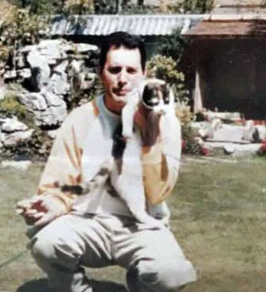 Freddie in Garden Lodge - Spring 1987 Garden Lodge, Mary Austin, Tom Et Jerry, King Of Queens, Freddy Mercury, Mother Love, Queen Photos, Roger Taylor, Queen Freddie Mercury