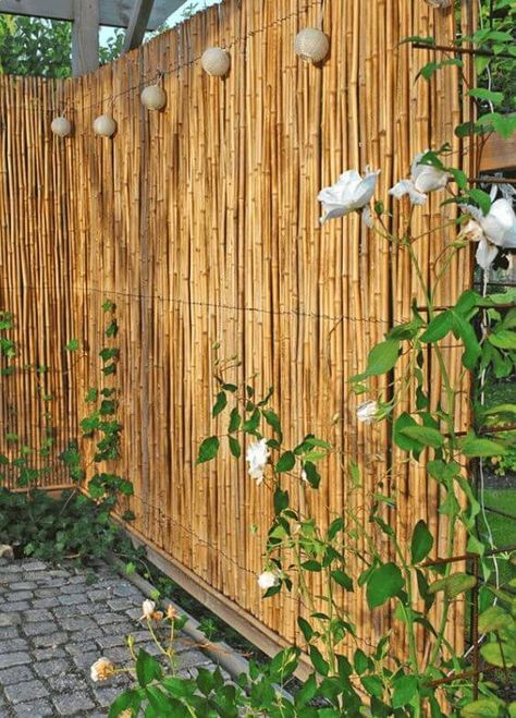 26 CLEVER GARDEN SCREEN IDEAS - 164 Bamboo Screen Garden, Bamboo Garden Fences, Bamboo Privacy, Garden Screen, Garden Privacy Screen, Garden Privacy, Back Garden Design, Backyard Privacy, Garden Screening