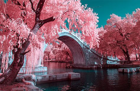 Ir Photography, Infrared Photography, Red Photography, Fine Art Landscape Photography, Long Exposure Photography, Landscape Concept, Cyberpunk Aesthetic, Dslr Cameras, Exposure Photography