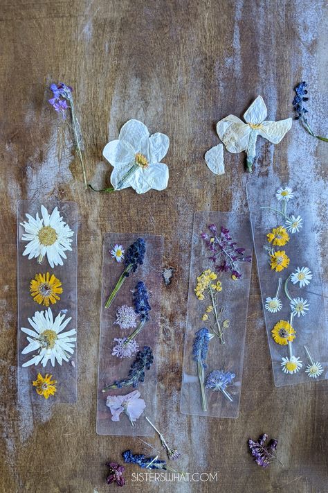 How to Make Pressed Flower Laminated Bookmarks - Sisters, What! Laminated Dried Flower Bookmarks, Pressed Flower Bookmark Laminated Diy, Pressed Flower Book Marks, Pressed Flower Laminated Bookmarks, Laminated Flower Bookmark, Pressed Flower Bookmark Laminated, Flower Press Bookmark, Laminated Pressed Flowers, Laminating Flowers