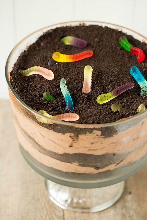 Mud pie! The ingredients are oero cookies, chocolate pudding, and gummy worms! Dirt Dessert Recipe, Dirt Dessert, Dirt Cake Recipes, Dirt Pudding, Coconut Dessert, Tiramisu Dessert, Dirt Cake, Brownie Desserts, Oreo Dessert