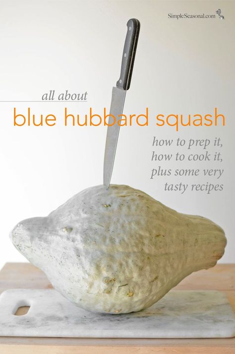 All About Blue Hubbard Squash - This gentle giant of the winter squash family is not just ornamental. It's got a wonderful sweet and nutty flavor that works well in soups, pasta dishes, sauces, and more. Blue Hubbard Squash Soup, Canning Blue Hubbard Squash, How To Cook Blue Hubbard Squash, Hubbard Squash Recipes How To Cook, Blue Hubbard Squash Recipes, Hubbard Squash Soup Recipe, Hubbard Squash Soup, Hubbard Squash Recipes, Blue Hubbard Squash