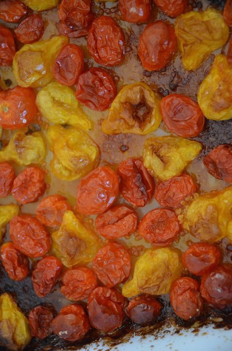 Pear Tomato Recipes, Roasted Yellow Tomatoes, Yellow Grape Tomato Recipes, Yellow Pear Tomato Recipes, Yellow Cherry Tomato Recipes, Yellow Cherry Tomato Sauce, Canning Yellow Pear Tomatoes, Yellow Pear Tomato Salsa, Salsa Sauce Recipe