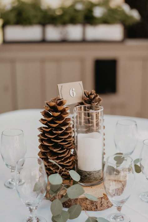 Simple forest woodland pinecone log wedding centerpiece at Black Butte Ranch in Oregon Pine Tree Party Decor, Wedding Center Piece Ideas Fall, Mountain Themed Wedding Centerpieces, Pinecone Wedding Decor, Pinecone Wedding Centerpiece, Pinecone Table Centerpieces, Winter Forest Wedding Decor, Pine Tree Wedding Decor, Pinecone Centerpiece Wedding