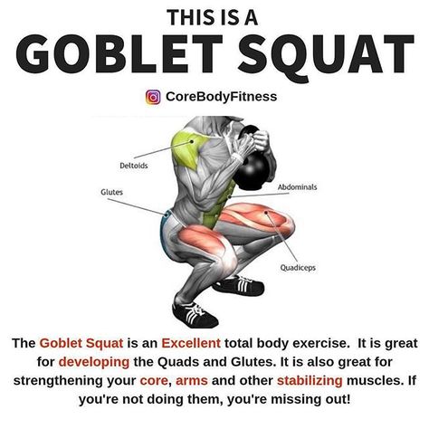 Why not try the goblet this weekend?  Stay strong and move a lot! Make entire body move one way or another!    do I love them! Not only to they target your quads and glutes...They are also really great for strengthening your core and even arms. They help with balance and mobility as well.  Follow @kwaris100 for more Credits: @CoreBodyFitness    #topgymtips #irishfitfam #ifitfitsyourmacros #caloriecounting #myfitnesspal #weightlossdiary #liftingweights #fitlife #getshredded #shreddedlife #pumping Gym Bodies, Squats Muscles Worked, Workout Types, Bulgarian Bag, Kettle Ball, Kettlebell Cardio, Glute Workouts, Kettlebell Workouts, Quick Workouts